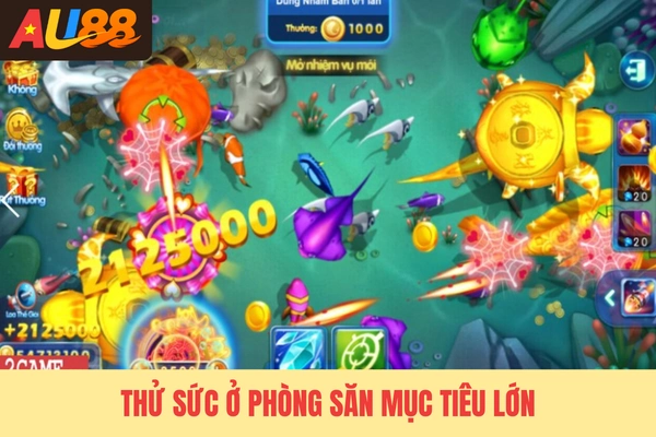 Thử sức ở phòng săn mục tiêu lớn